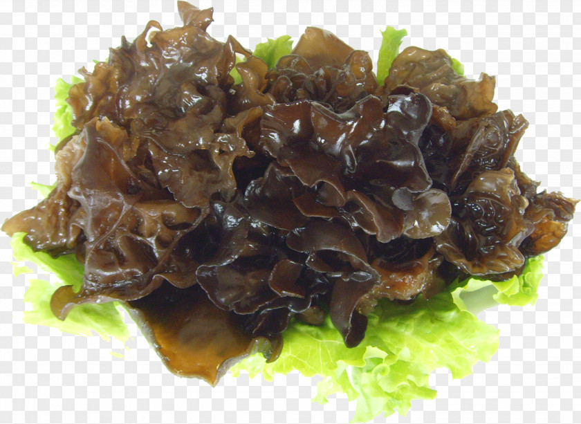 Black Fungus With Vegetables Sichuan Wood Ear Food Eating PNG