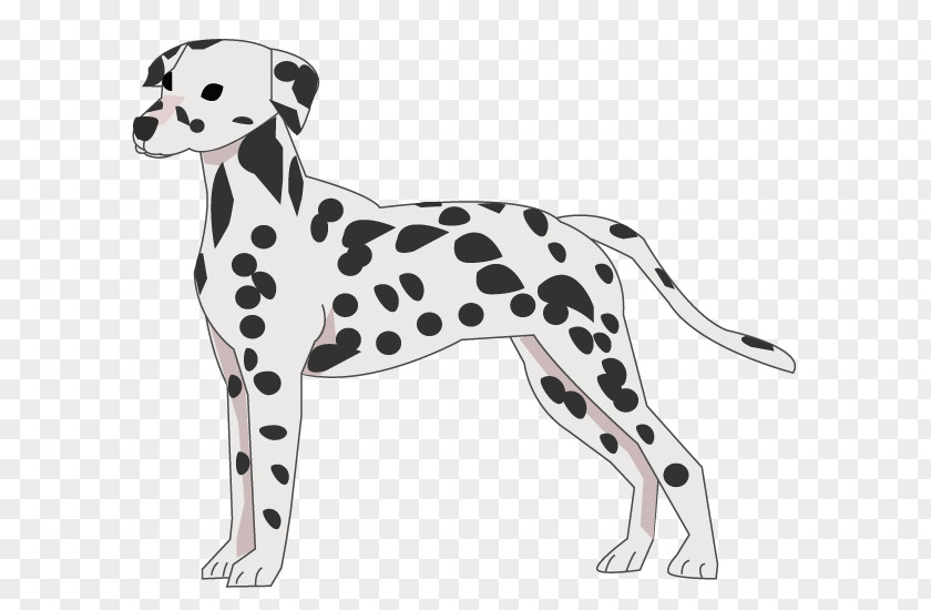 Dalmatian Dog Breed Companion Poodle Shiba Inu PNG