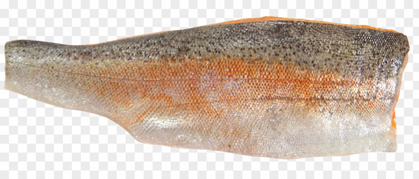 Fish Sardine Salted Oily Food PNG