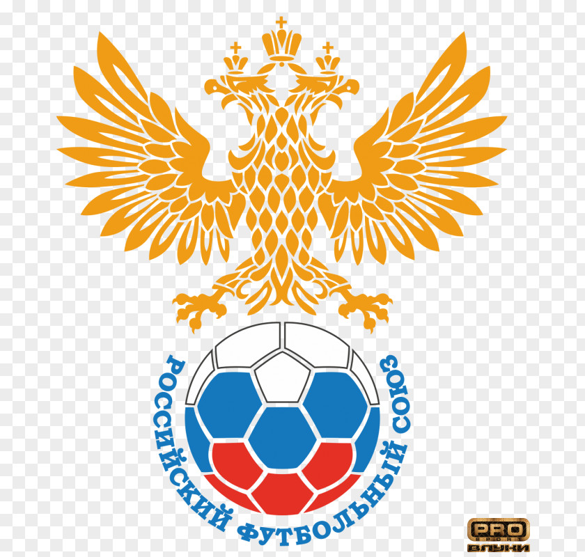 Russia National Football Team Russian Premier League 2014 FIFA World Cup 2018 PNG