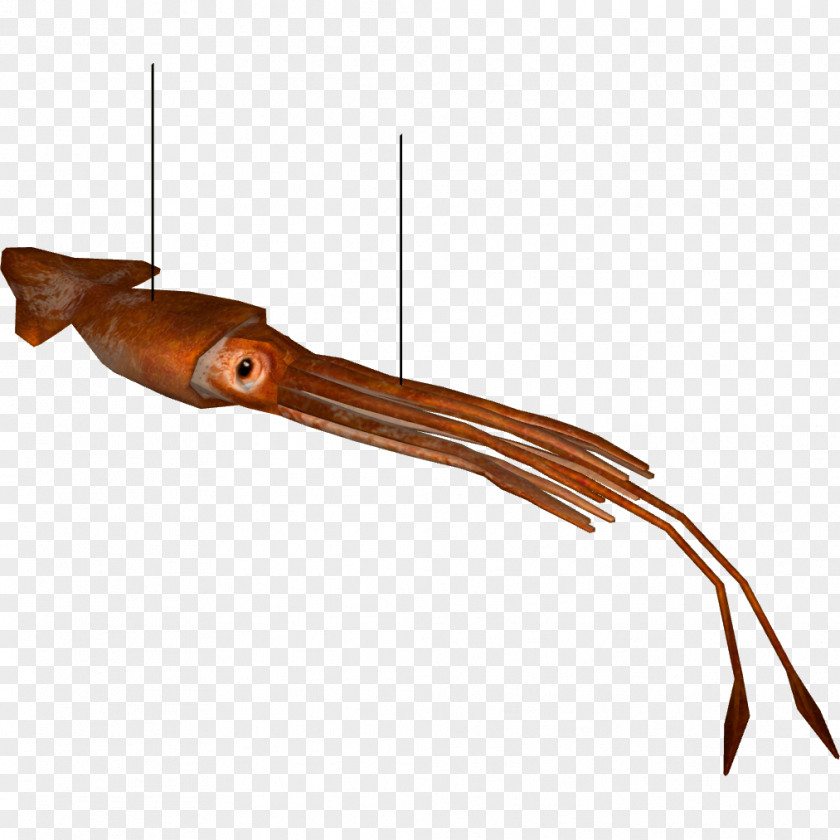 Squid Wikia Zoo Tycoon 2 Wildlife Park 3 PNG