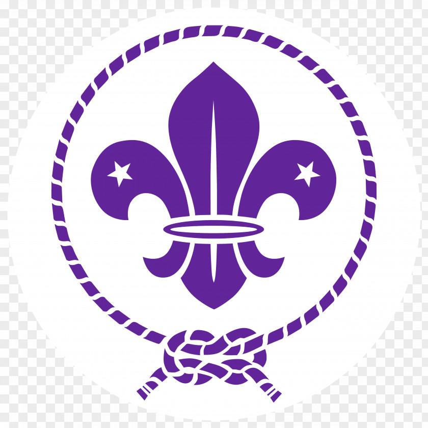 World Organization Of The Scout Movement Scouting For Boys Fleur-de-lis Emblem PNG