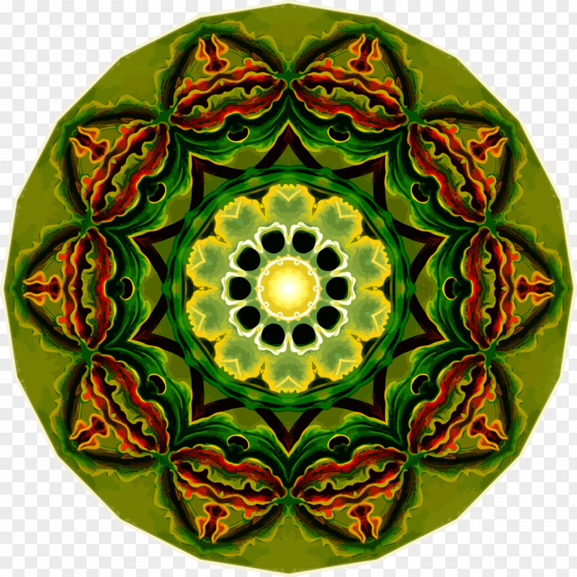 Circle Symmetry Organism Flower Pattern PNG