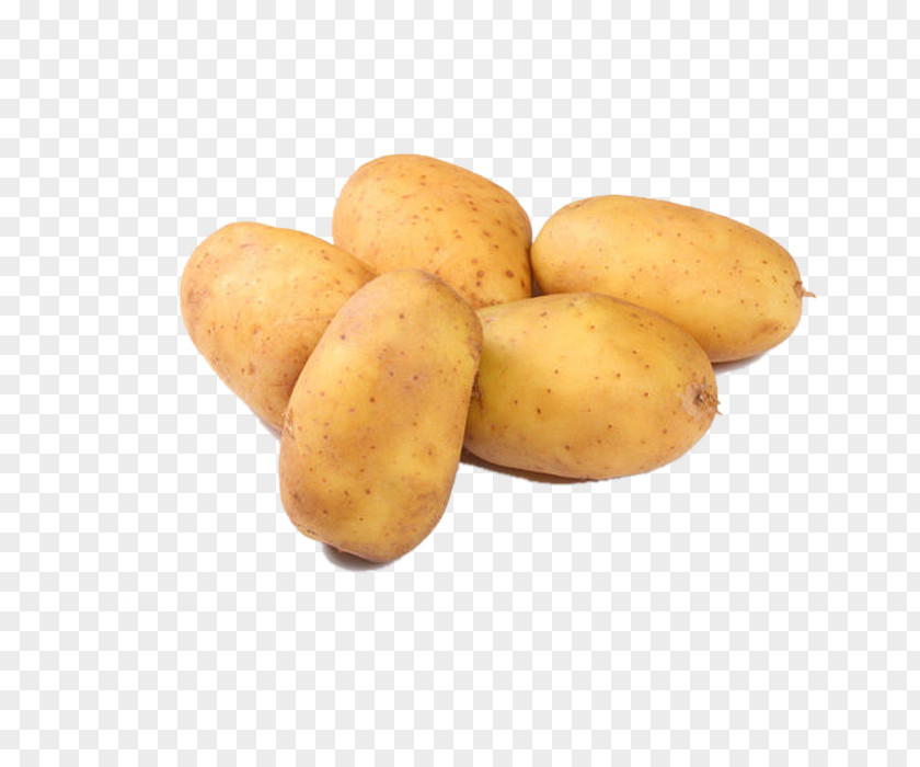 Five Fresh Potatoes Mashed Potato Vegetable Masher Food PNG