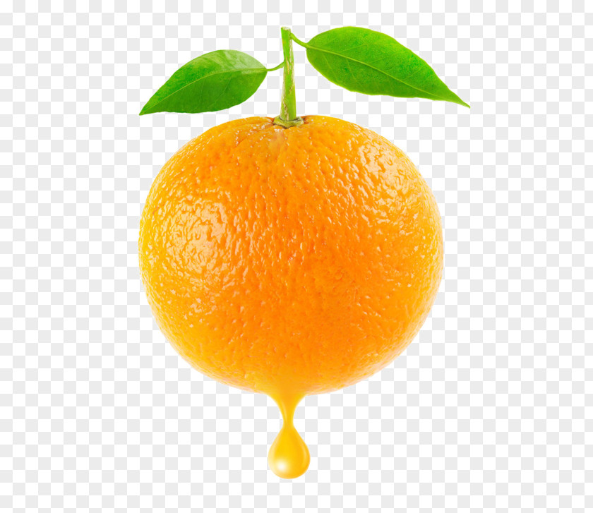 Orange Clementine Mandarin Tangerine Blood PNG