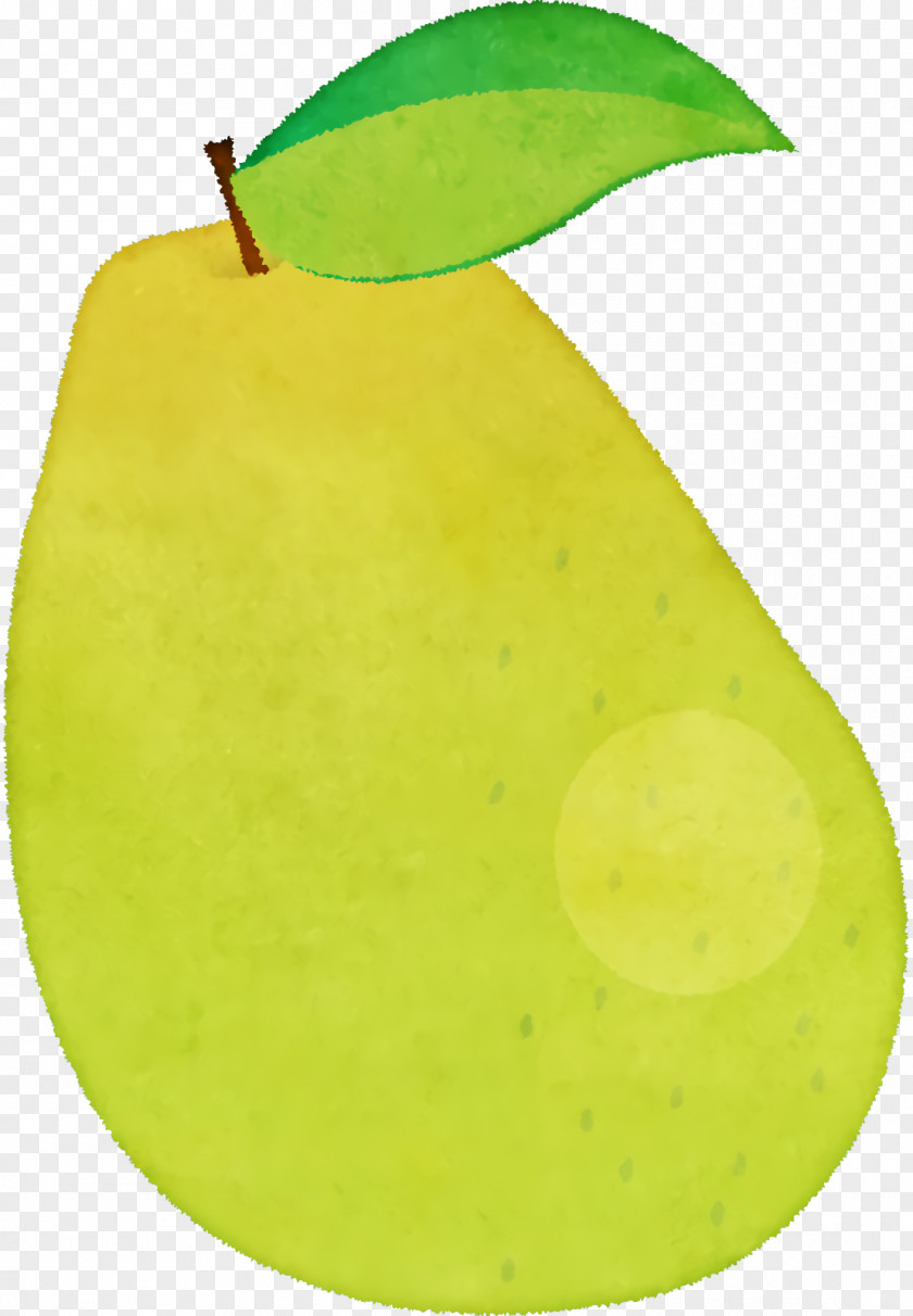 Pear Leaf Green Apple PNG
