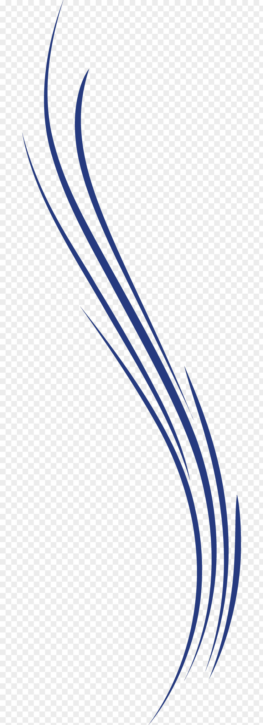 Blue Curve Line Euclidean Vector PNG