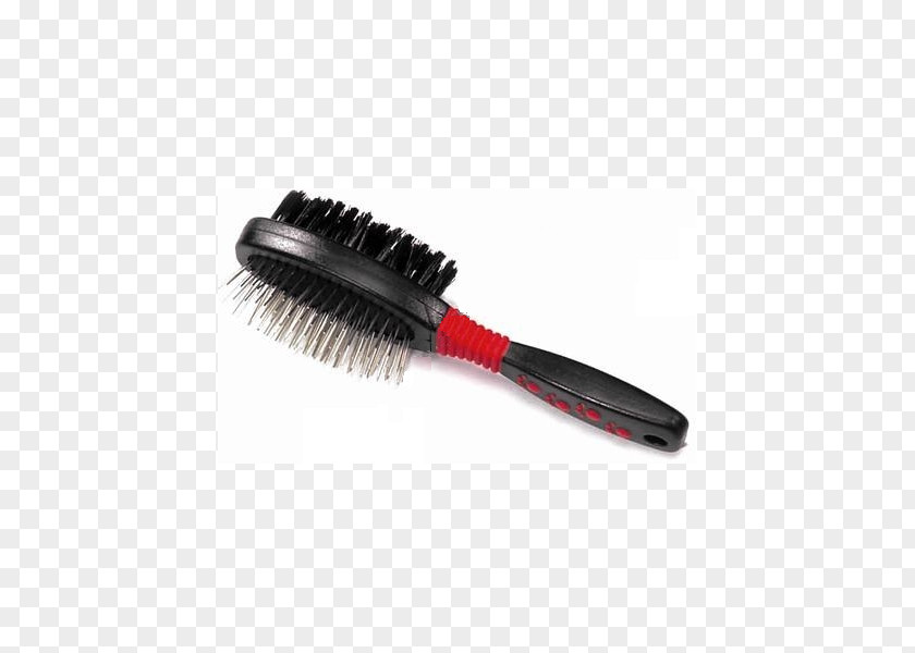 Cat Brush Bristle Moscow Dog PNG