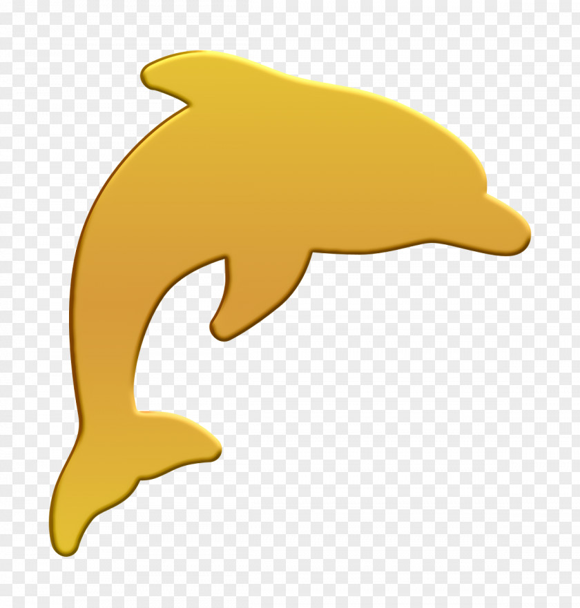 Dolphin Icon Sailor Animals PNG