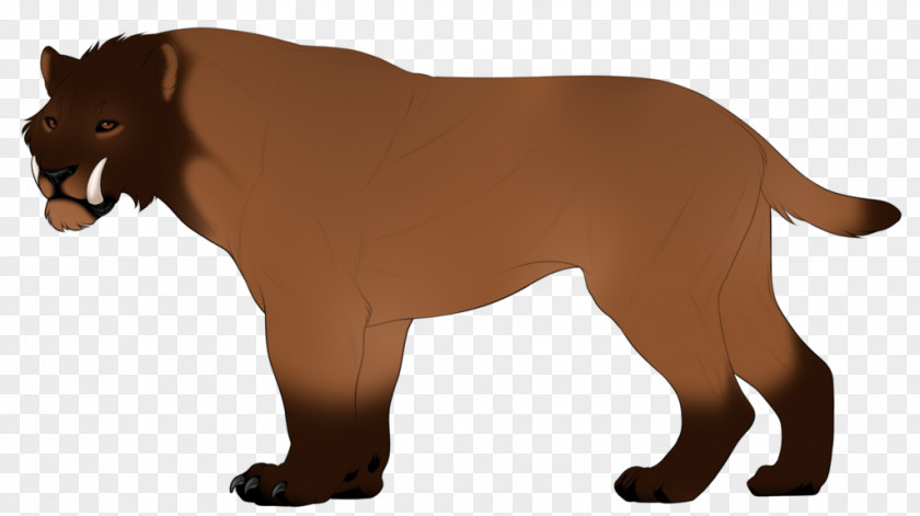 Its 5 00 Somewhere Lion Big Cat Dog Breed Cougar PNG