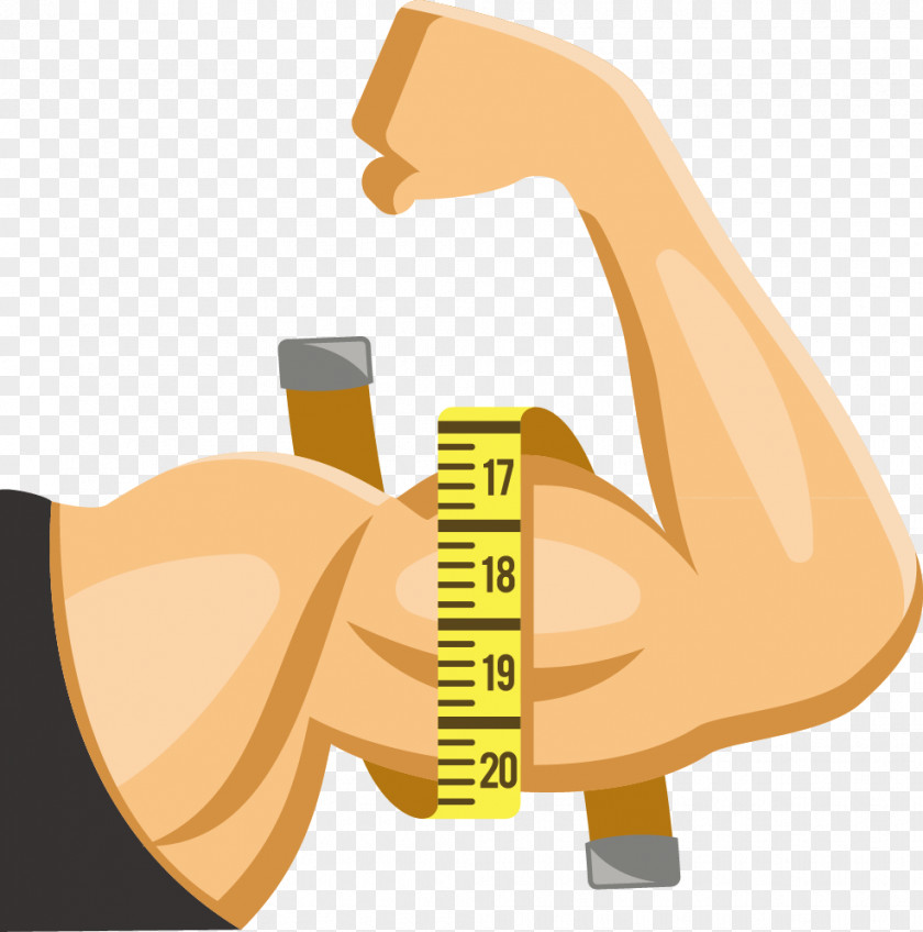 Man Arms Vector Muscle Thumb PNG