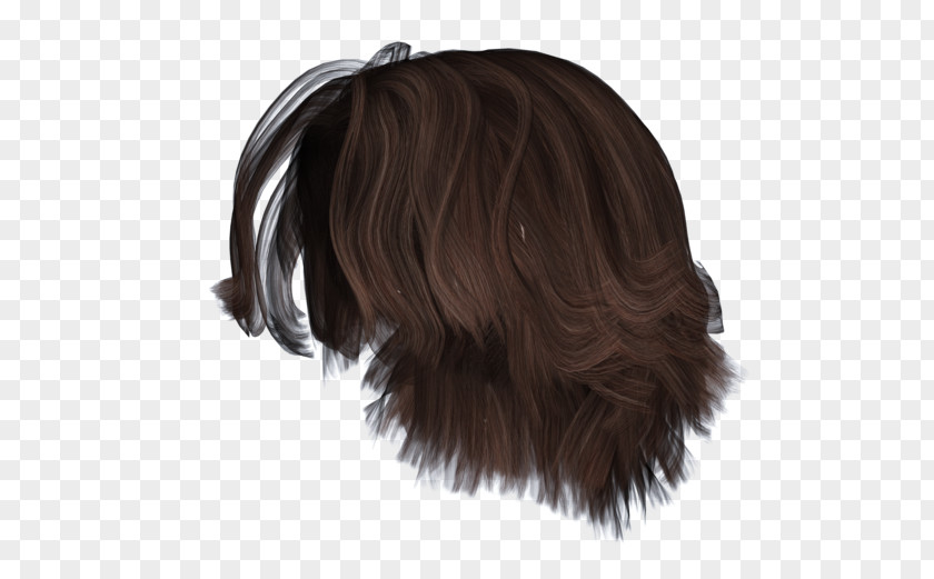 Short Hair Hairstyle Wig Bun Brown PNG