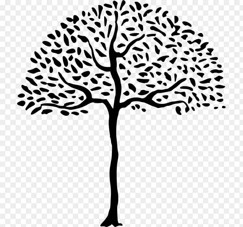 Simple Tree Line & Form Drawing Clip Art PNG