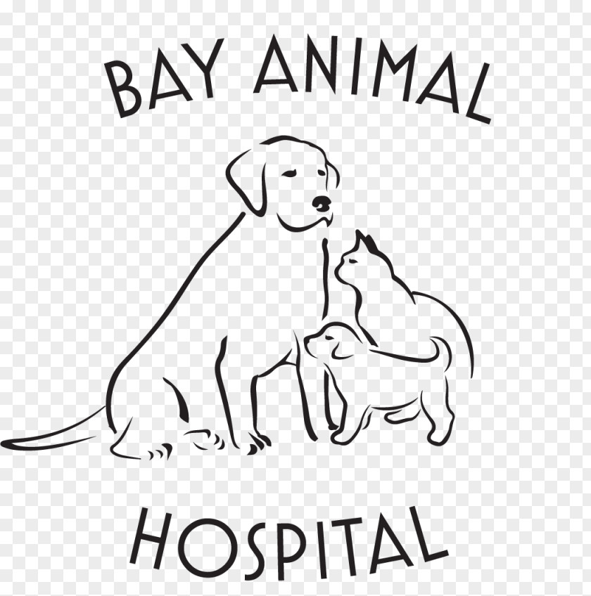 Veterinarian Dog Bay Animal Hospital Cat Pet PNG