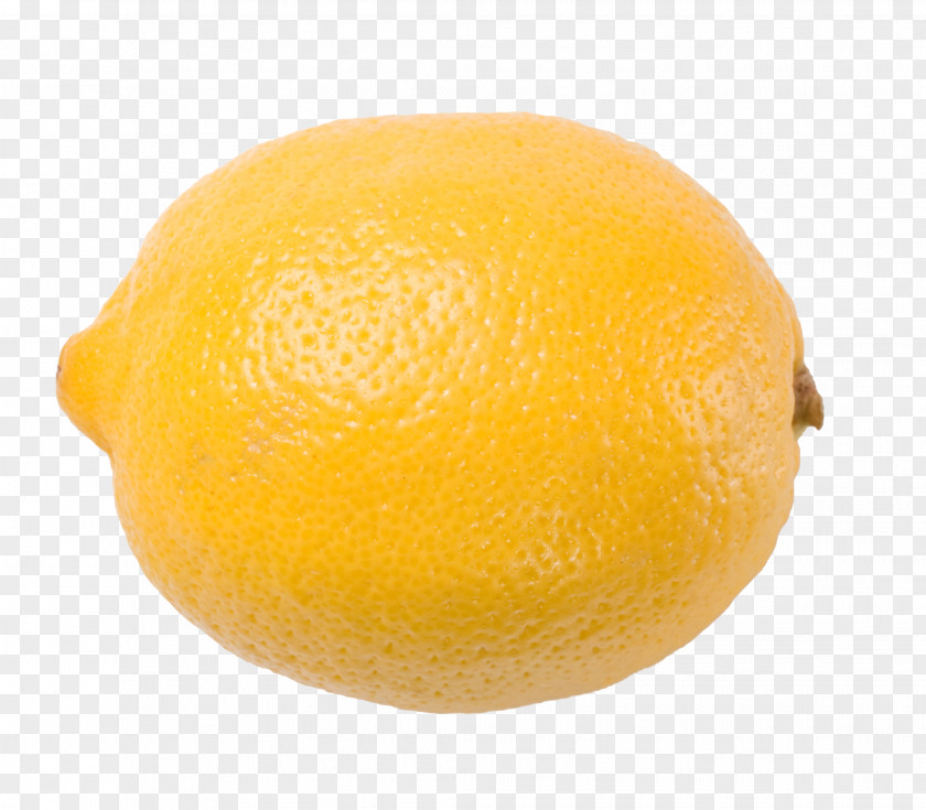 A Lemon Clementine Citron Tangelo Rangpur PNG