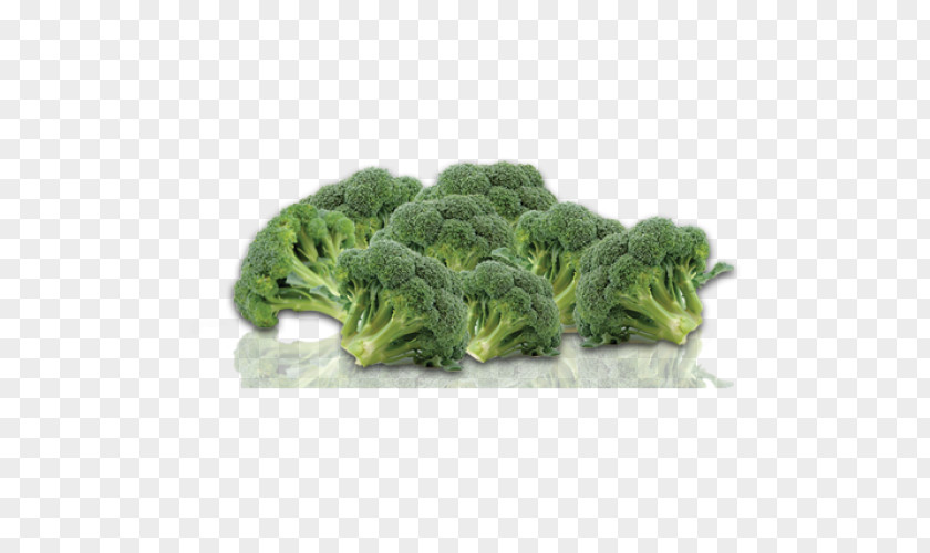 Broccoli Retail Sales Fashion PNG