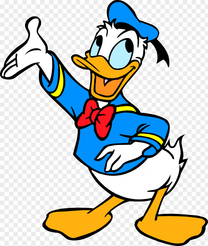 Donald Duck Duck: Goin' Quackers Cartoon Costume PNG