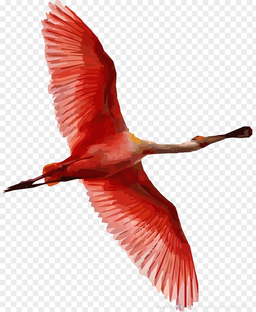Flying Bird Flamingos Painting PNG