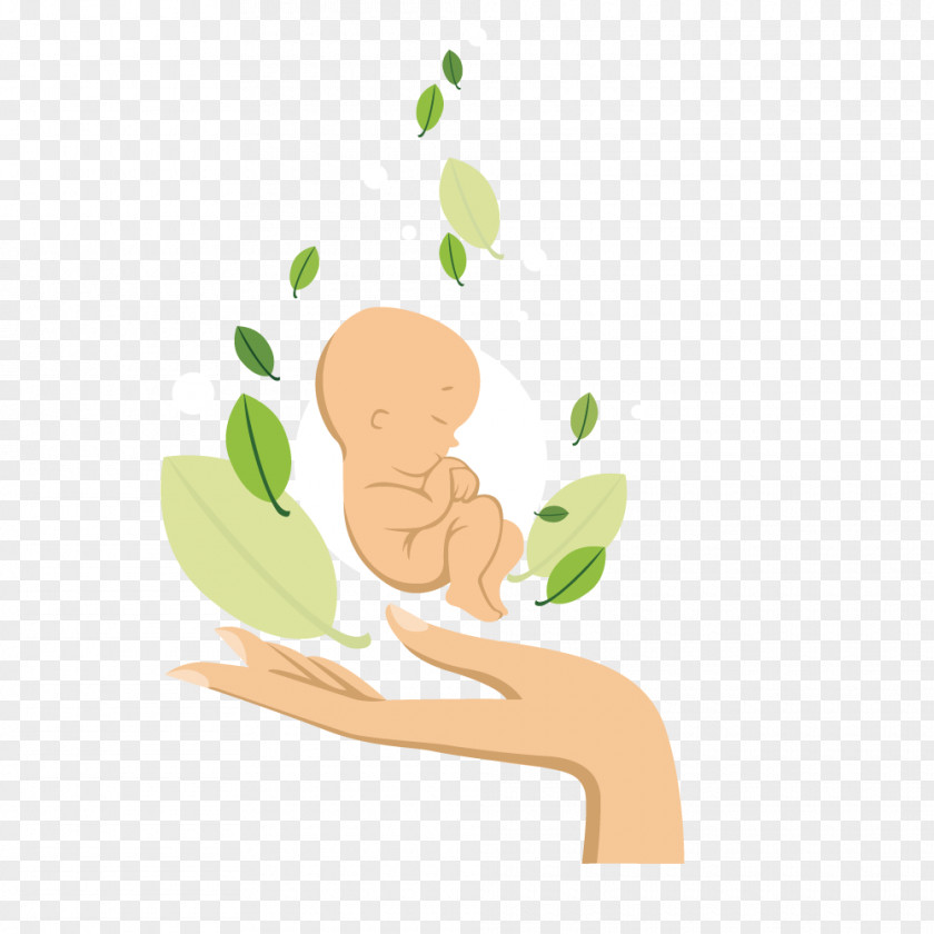Vector Newborn Baby Infant Illustration PNG
