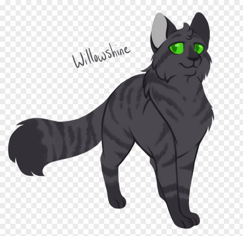 Warrior Cat Drawings Black Korat Domestic Short-haired Warriors Willowshine PNG