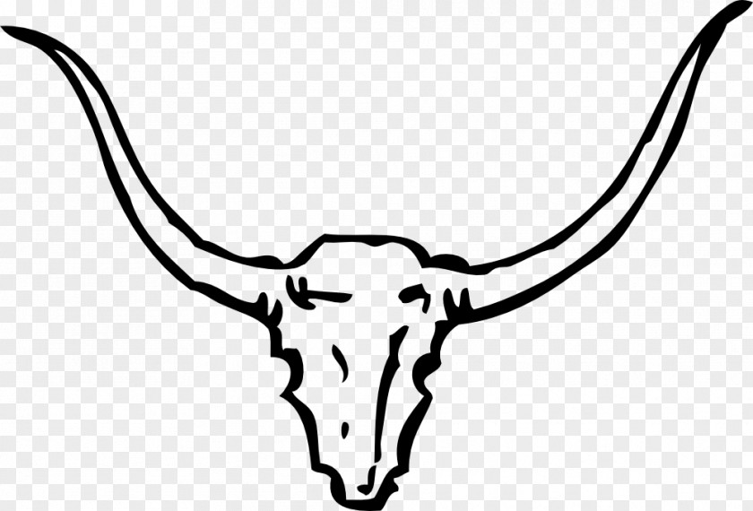 Bull Skull Pictures Texas Longhorn English Clip Art PNG