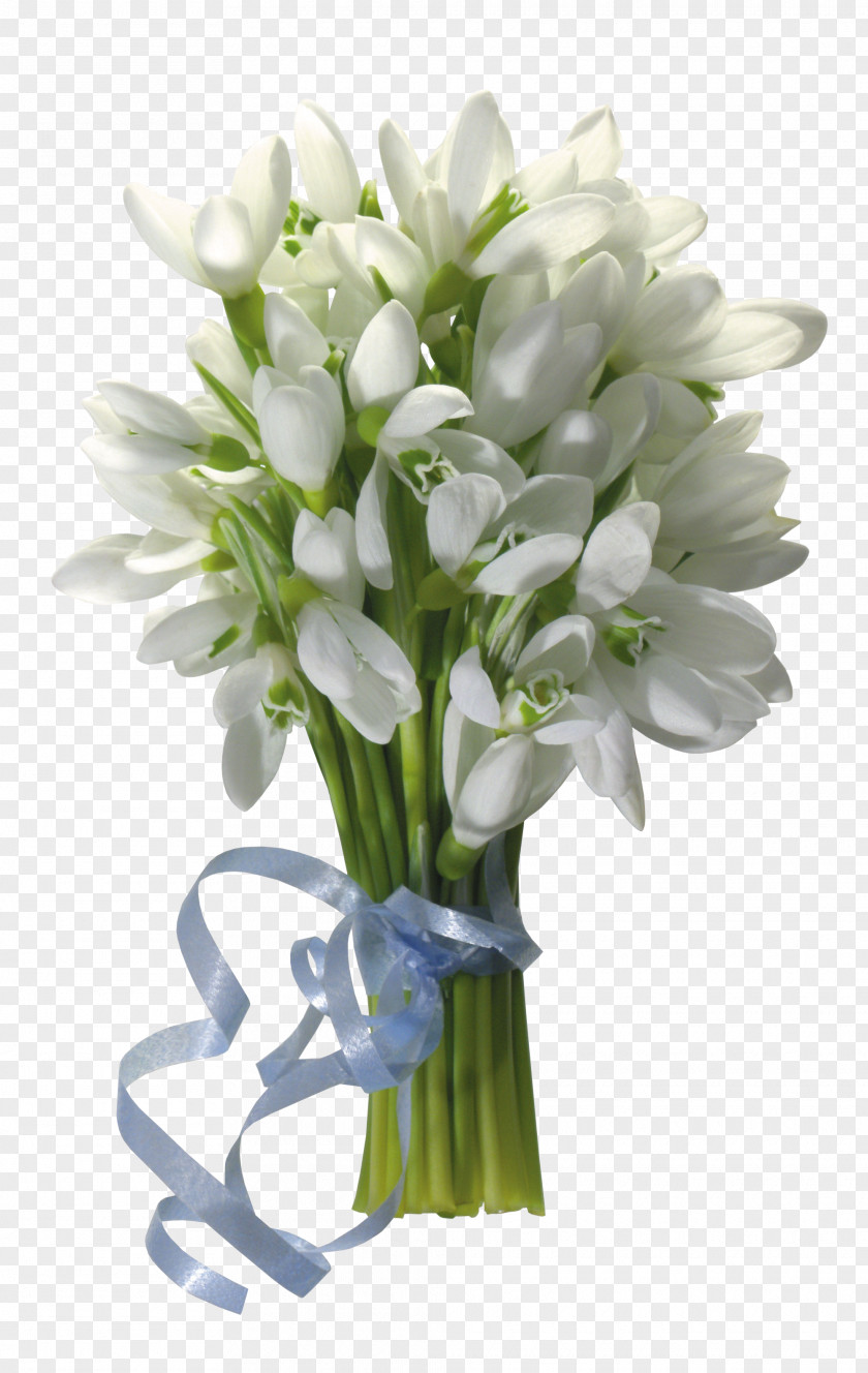 Crocus Snowdrop Flower Bouquet Desktop Wallpaper PNG