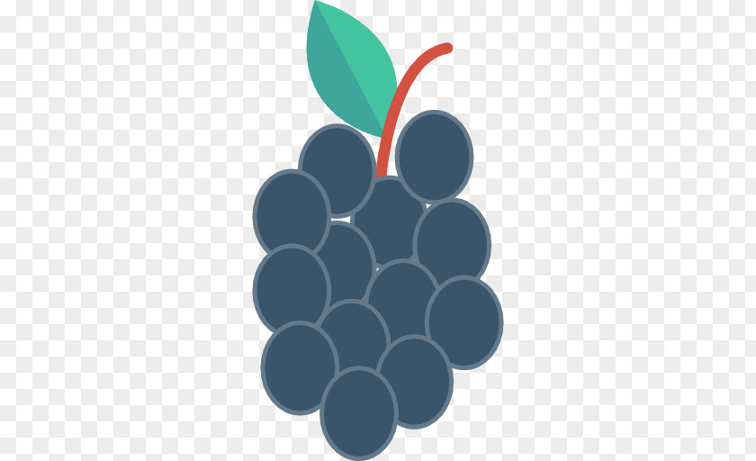 Grape Fruit Blueberry PNG