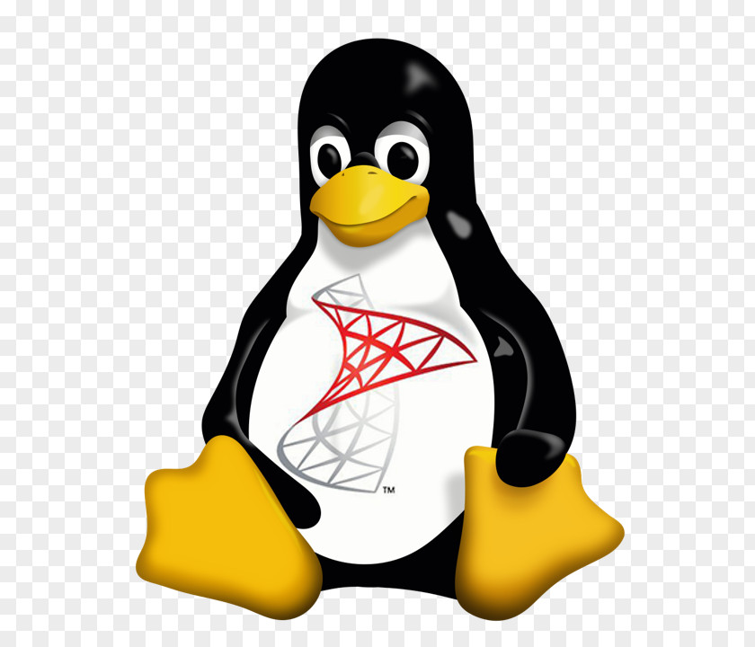 Linux Tux Racer Kernel Penguin PNG