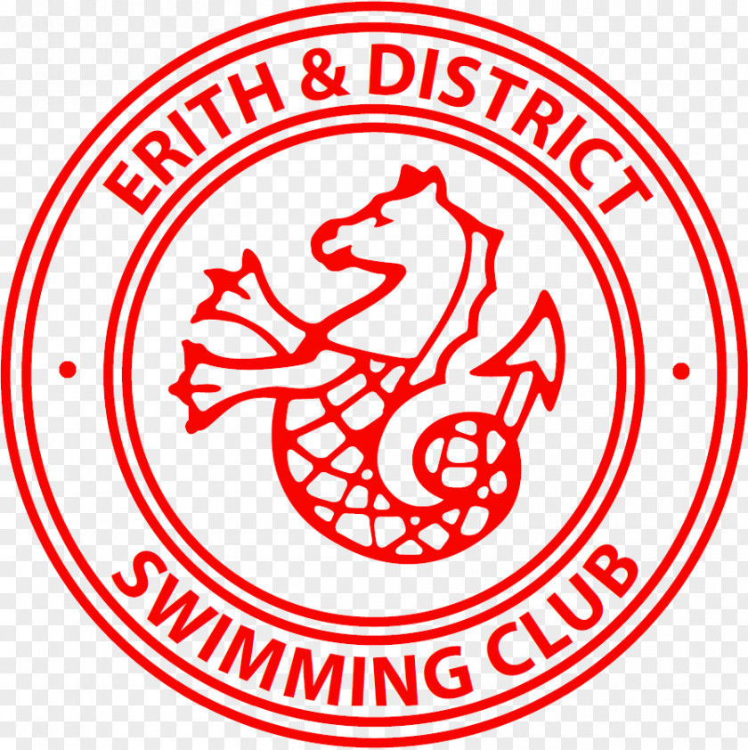 Sunday Horse Surprise Erith And District Swimming Club London Artistic White Oak Leisure Centre PNG