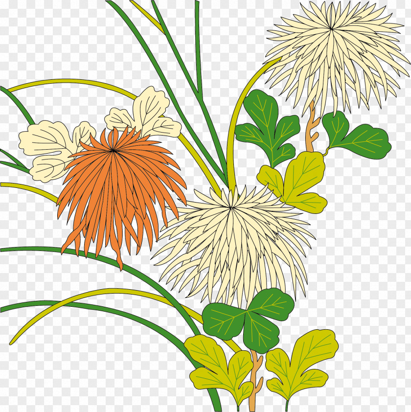 Ukiyo-e Chrysanthemum Vector Clip Art PNG