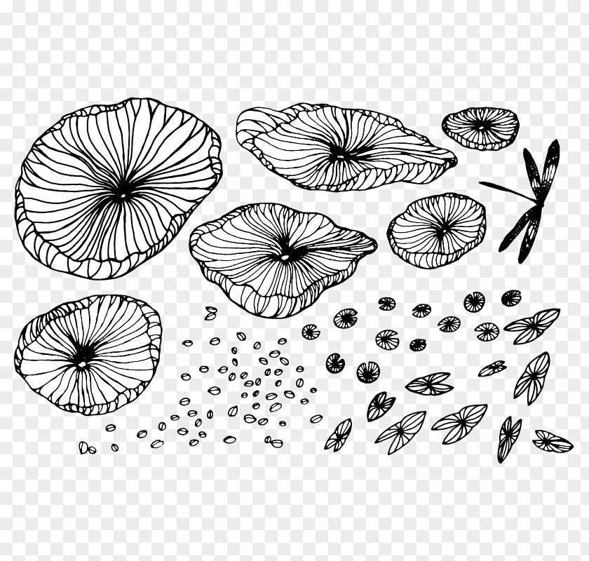 Dragonfly Lotus Leaf Fine Line Drawing Draft Nelumbo Nucifera Shape PNG