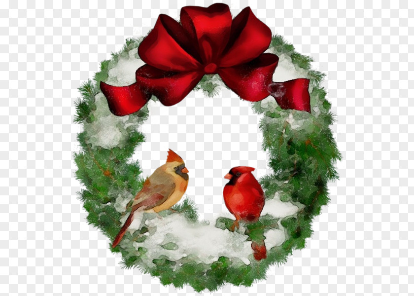 European Robin Conifer Red Christmas Ornament PNG