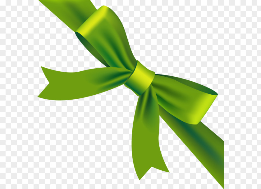 Green Bow Ribbon Stock Photography Royalty-free Illustration PNG