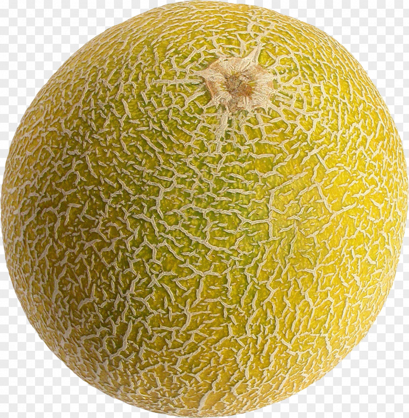 Melon Hami Fruit Clip Art PNG