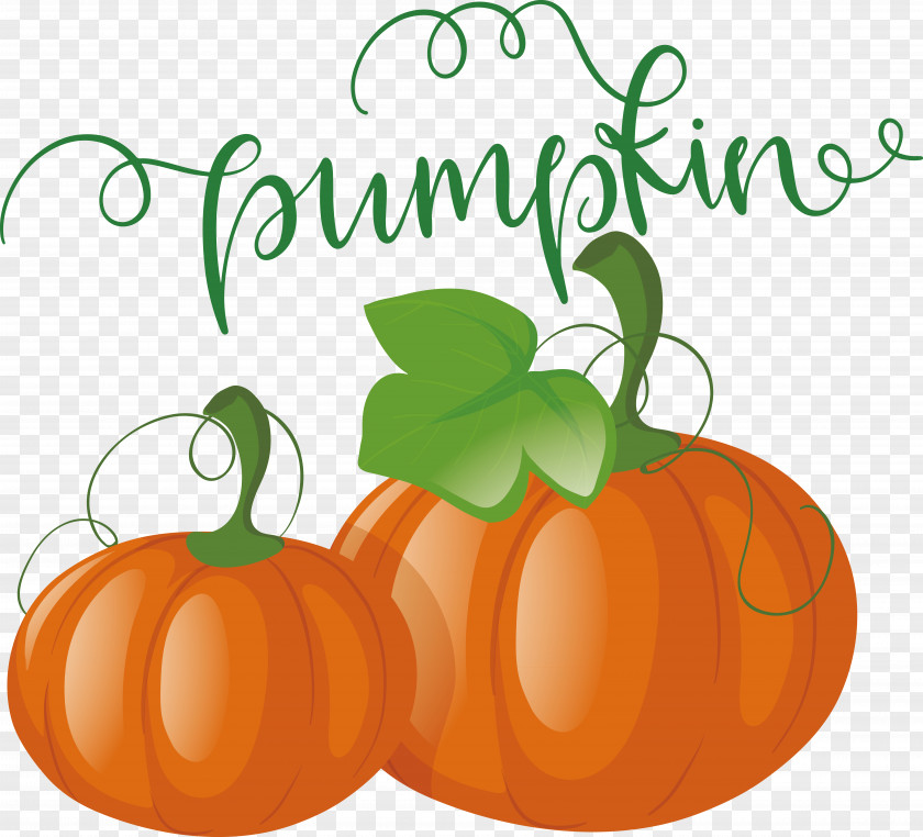 Pumpkin PNG