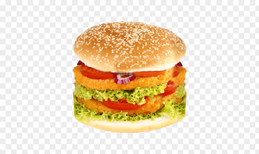 Steak Burger Hamburger Potato Pancake Chicken Sandwich Fast Food Pizza PNG