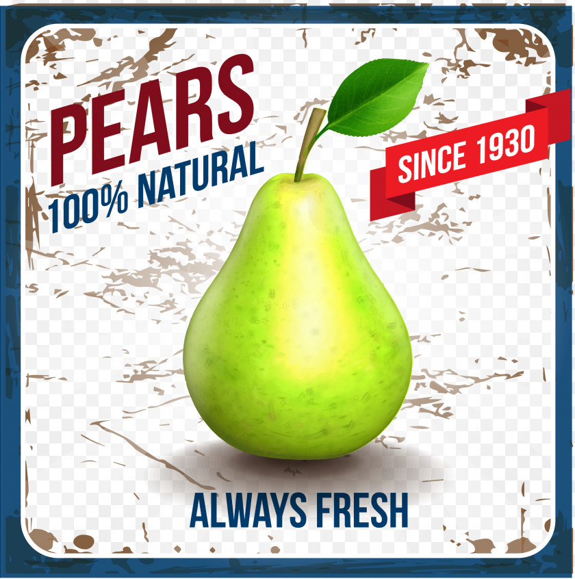 Vector Pear Fruit Ice Cream PNG