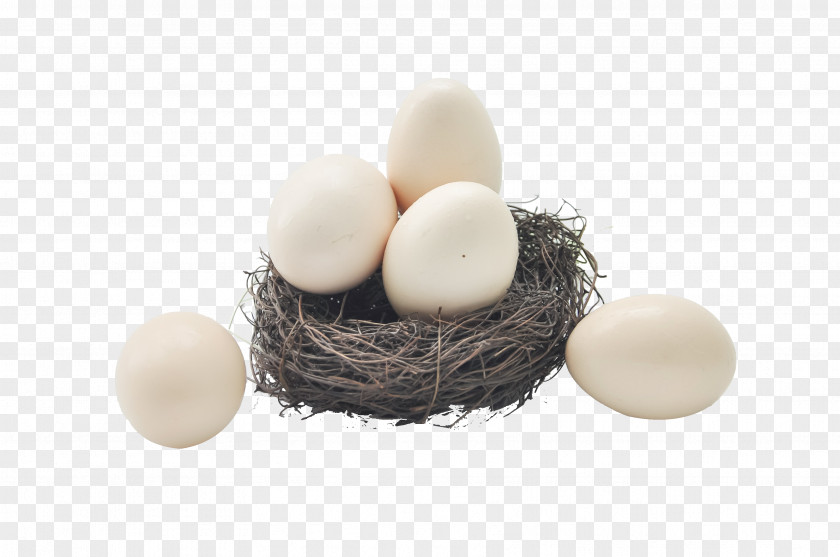 A Basket Of Eggs In Soil Chicken Egg Food PNG