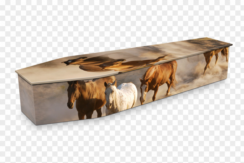 Coffin Expression Coffins Natural Burial Swanborough Funerals Michael Crawford PNG
