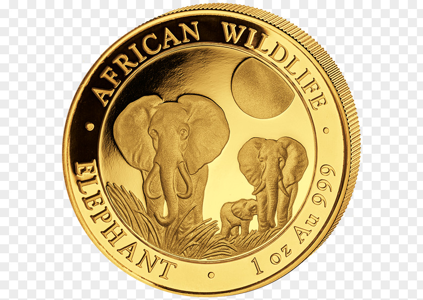 Gold African Elephant Somalia Elephantidae Coin PNG
