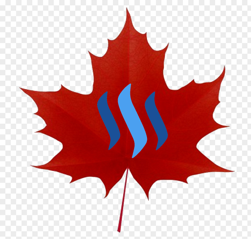 Leaf Maple Clip Art PNG