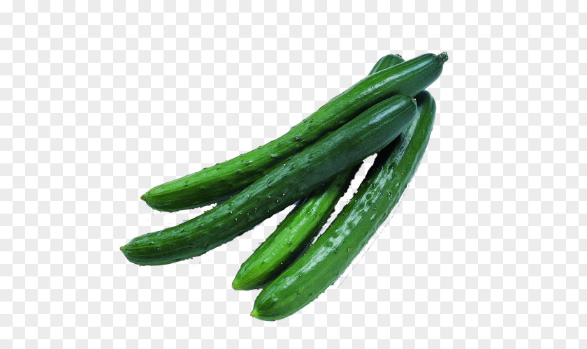 Mature Cucumber Pickled Vegetable Clip Art PNG