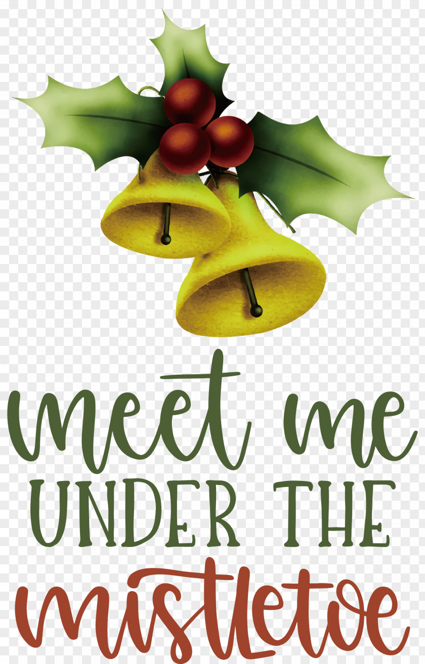 Meet Me Under The Mistletoe PNG