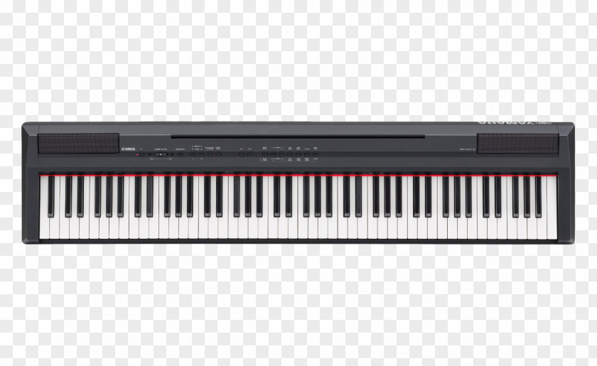 Piano Yamaha P-115 Digital Stage Keyboard PNG
