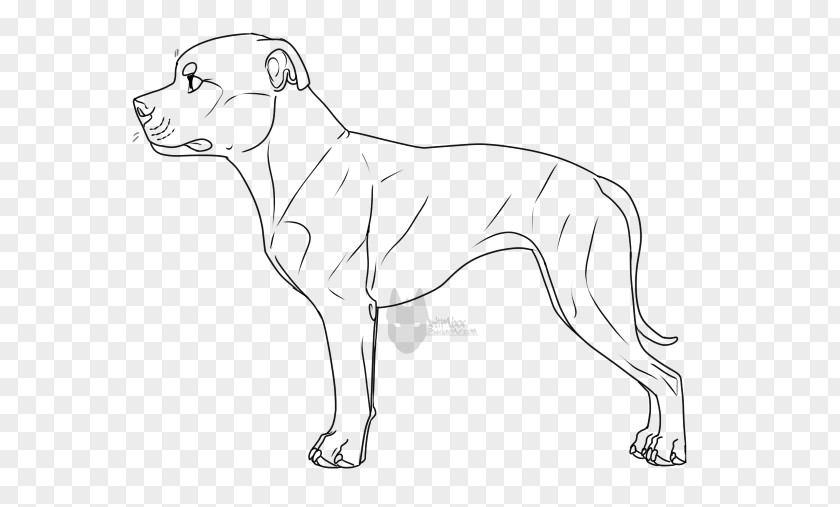 Staffordshire Bull Terrier Dog Breed Line Art Whiskers White PNG