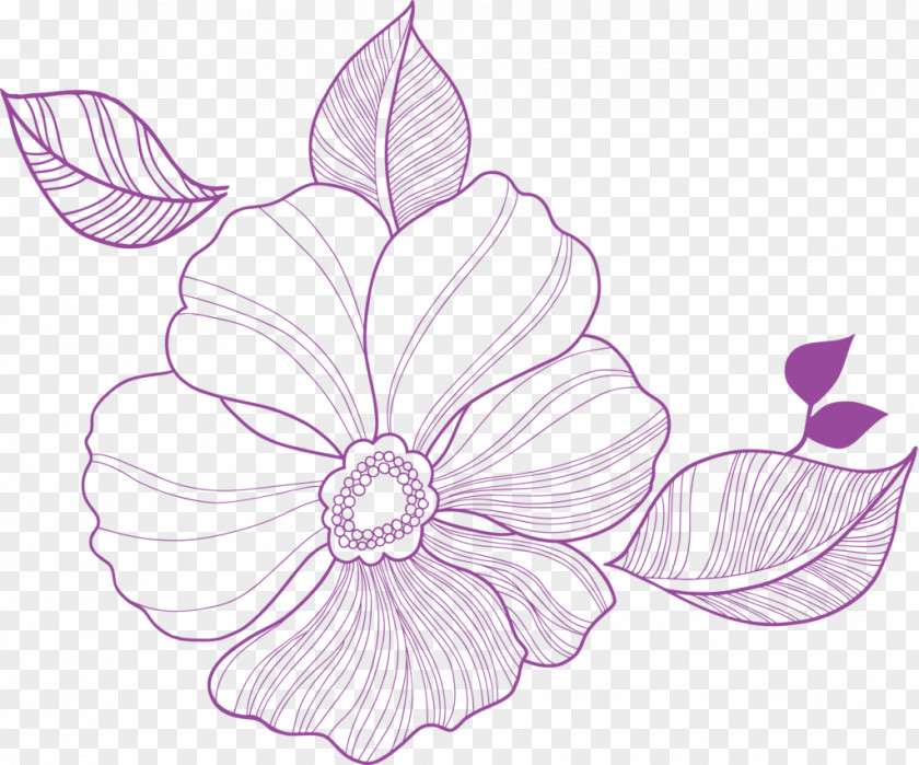 Anaphase Vector Flower Graphics Floral Design Download PNG