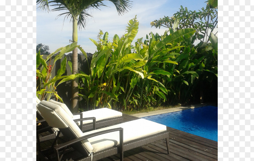 Indonesia Bali Arecaceae Property Resort Vacation Estate PNG