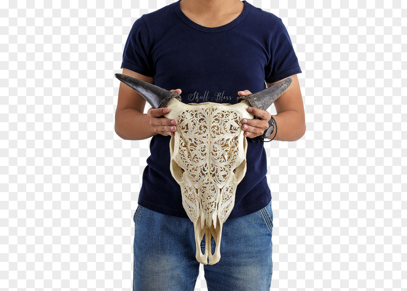 Skull XL Horns Circle Cattle PNG