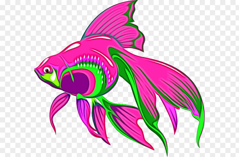 Tail Fin Fish Pink Magenta Clip Art PNG