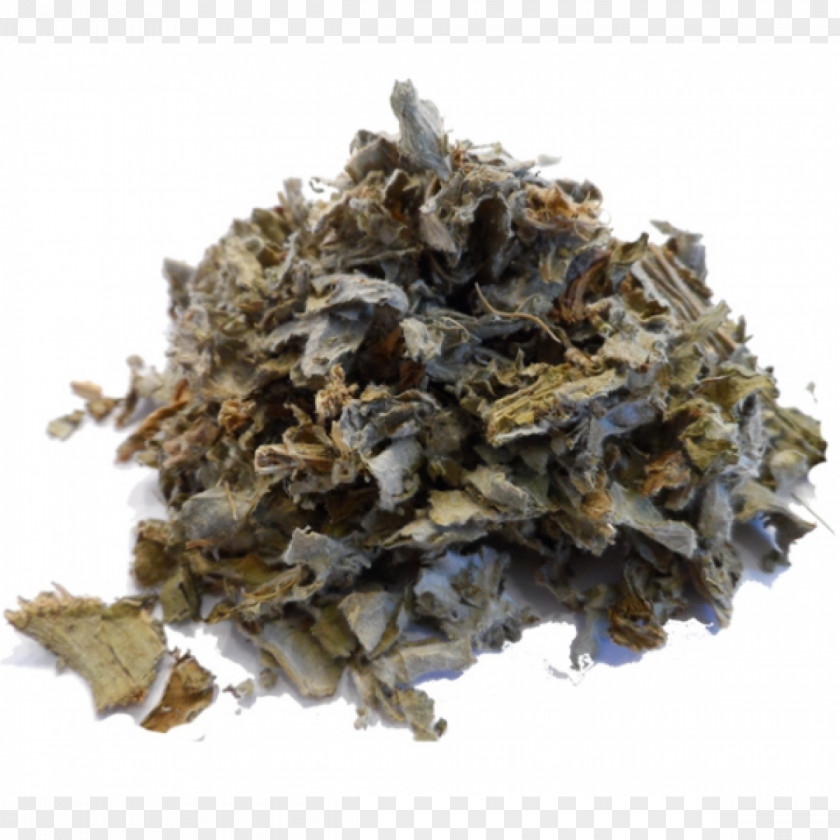 Tea Oolong Nilgiri Green Darjeeling PNG